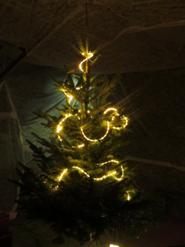 Weihnachtsbaum